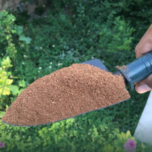 Cocopeat Tanamderumah