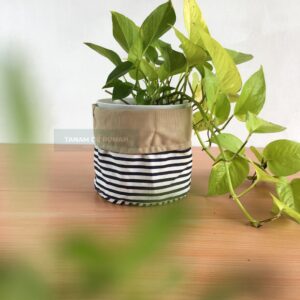 Cover Pot