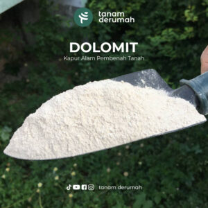 Dolomit Tanamderumah