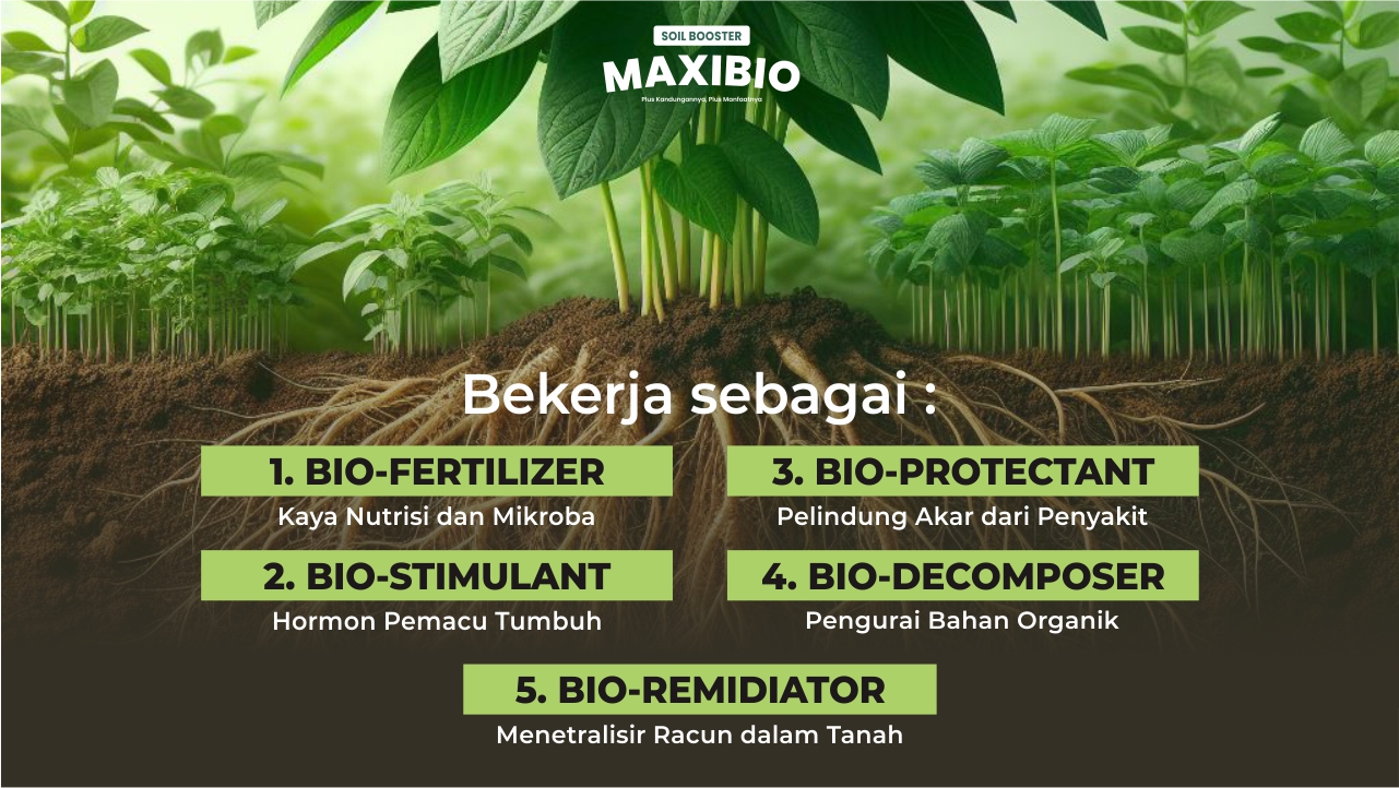 Maxibio tanamderumah