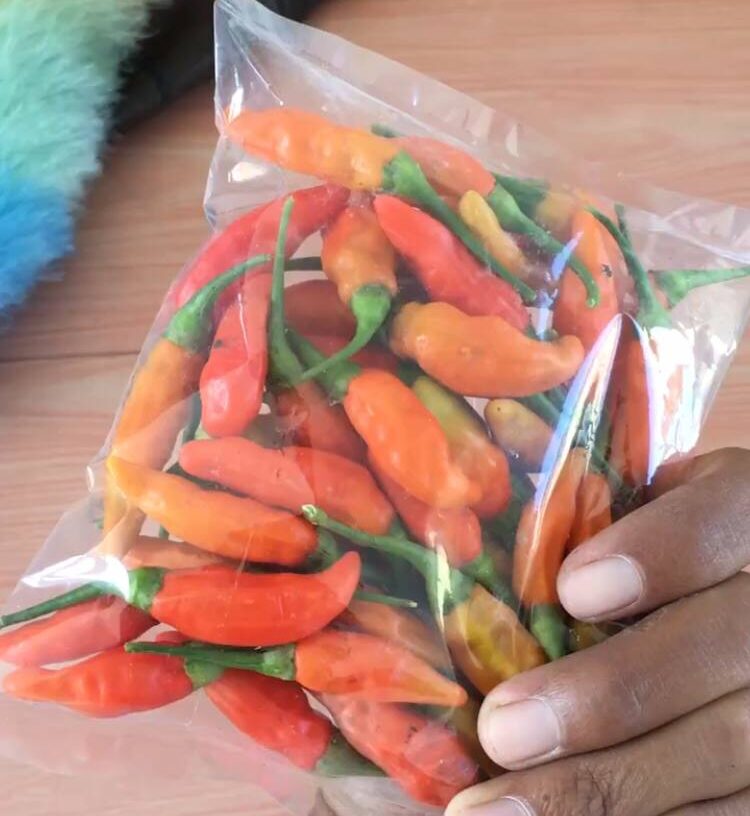 Galeri Cabe 3