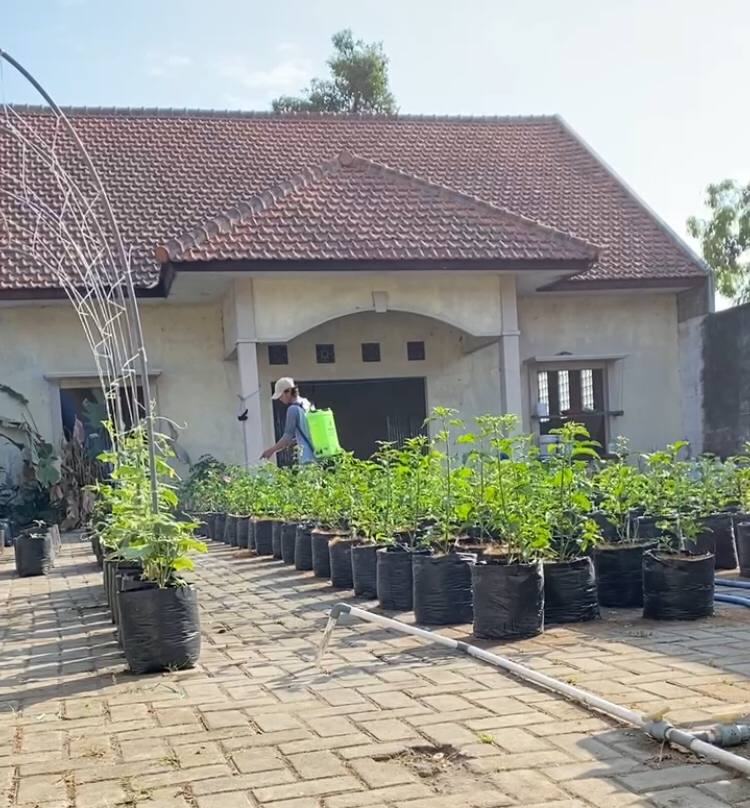Galeri Cabe 4