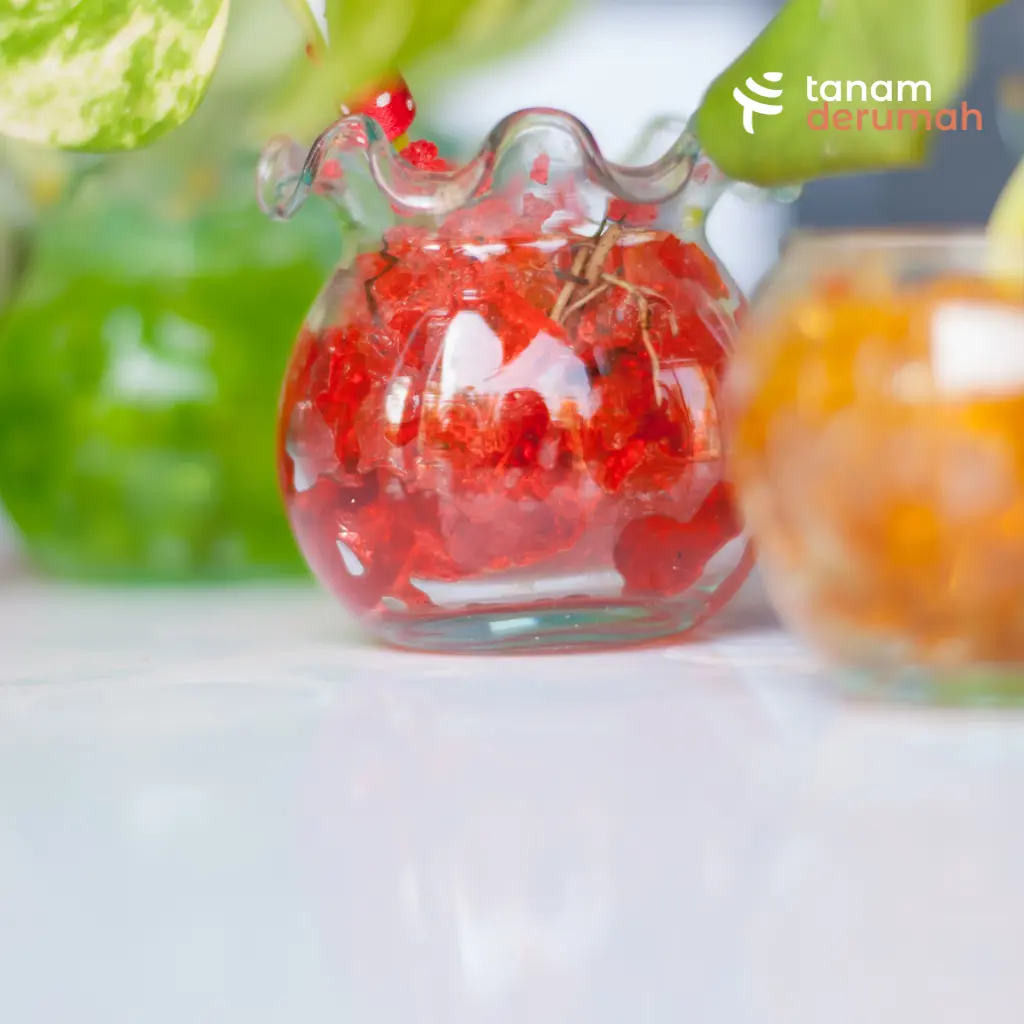 Media Tanam Hydrogel - Tanamderumah