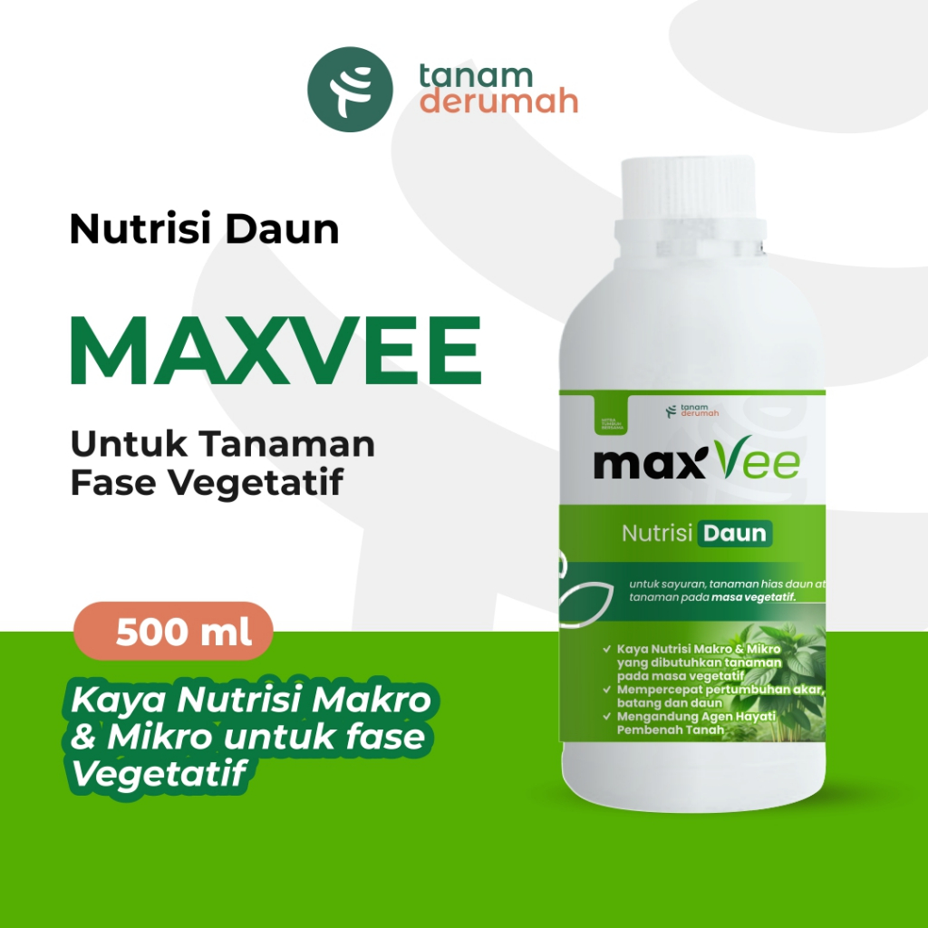 Nutrisi Daun Tanamderumah