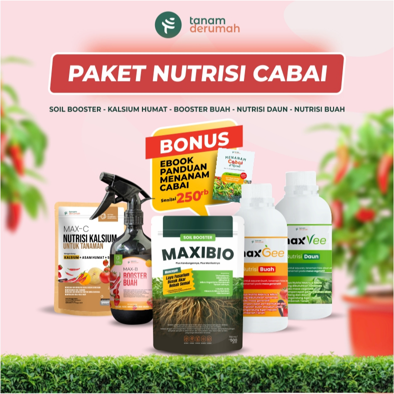 Paket Nutrisi Cabai - Tanamderumah
