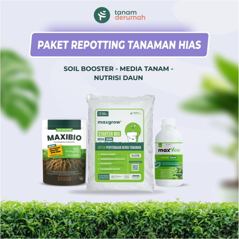 Paket Repotting Tanaman Hias - Tanamderumah