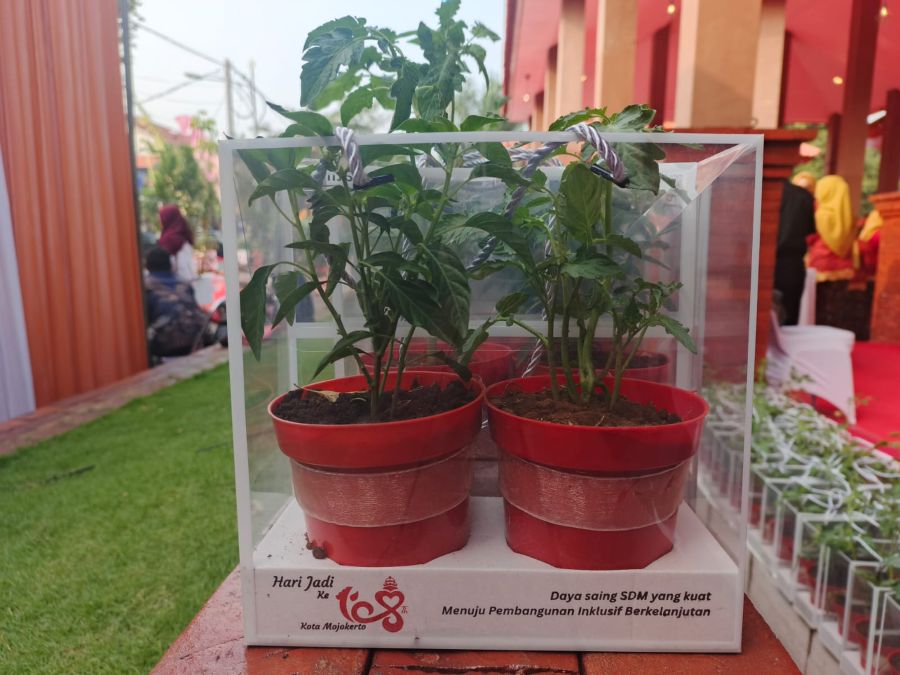 Bukan Karangan Bunga Biasa, HUT ke-108 Kota Mojokerto Dihiasi Bibit Tanaman Pangan