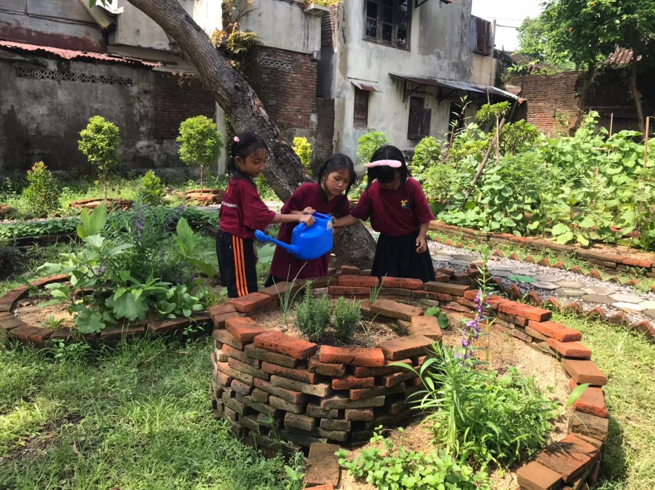 Bukan Jepang atau Singapura, SD di Solo Ini Punya Dapur Hidup yang Bikin Anak Belajar Seperti Gardener Profesional